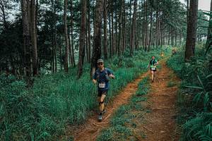 BIB: 
                            <button type="button" onclick="openModal(25657923)" class="btn btn-primary btn-sm float-right btn-popup" data-toggle="modal" data-target=".modal-high-quality">
                        <i class="fas fa-shopping-cart"></i> Add to Cart
                    </button>
                                            <button type="button" onclick="isThisMe(25657923, true)" class="btn btn-success btn-sm float-right btn-popup btn-isme hidden" data-toggle="tooltip" data-placement="bottom" title="นี่คือรูปของคุณใช่ไหม คลิกที่นี่เพื่อเอาเข้าอัลบั้ม">
                        <i class="fas fa-plus"></i> Add to album
                    </button>
                    <button type="button" onclick="isThisMe(25657923, false)" class="btn btn-warning btn-sm float-right btn-popup btn-isnotme hidden">
                        <i class="fas fa-ban"></i> Remove from album
                    </button>